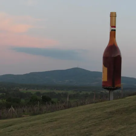 Magda Vendeghaz Tokaj